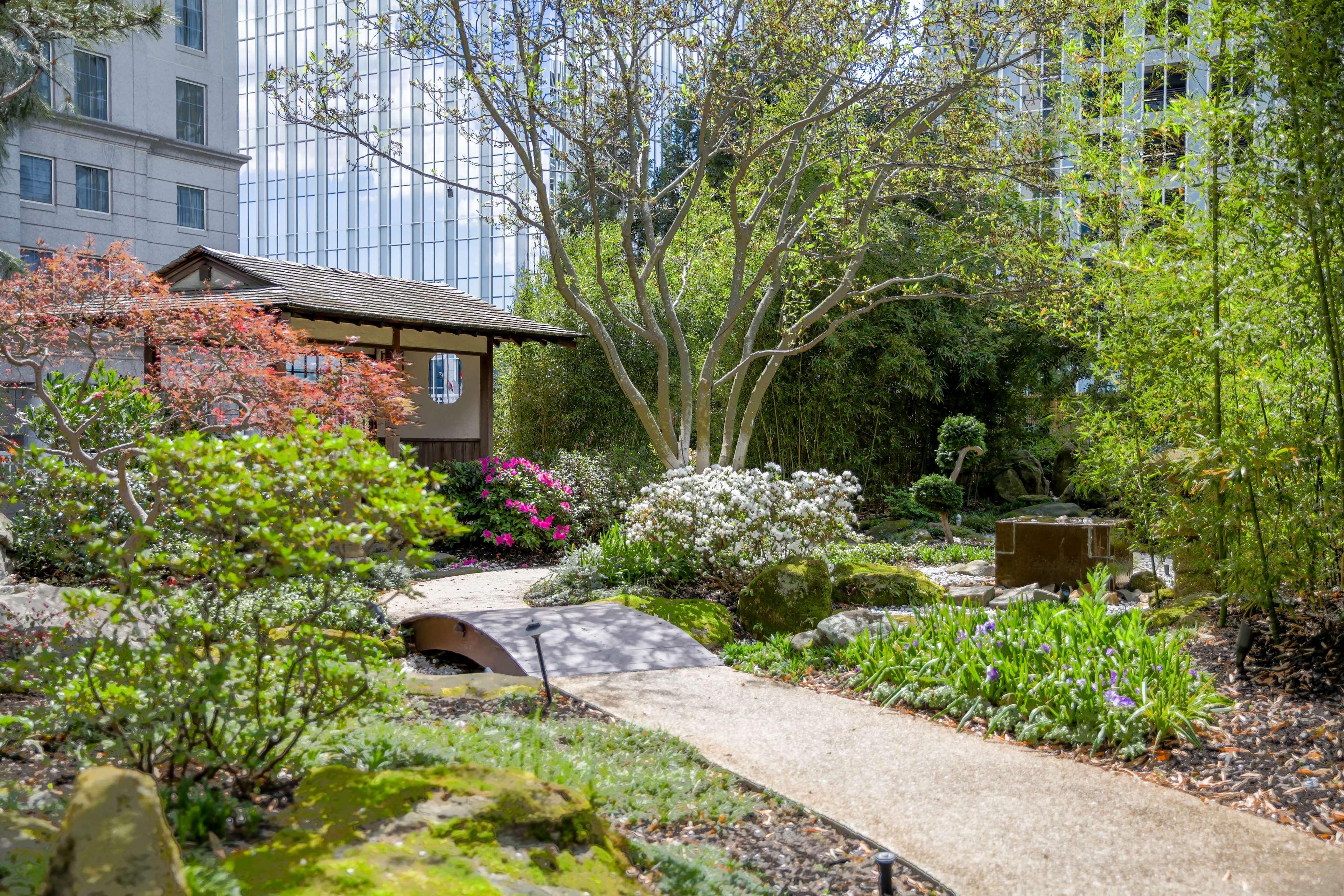 Hotel Grand Hyatt In Buckhead Atlanta