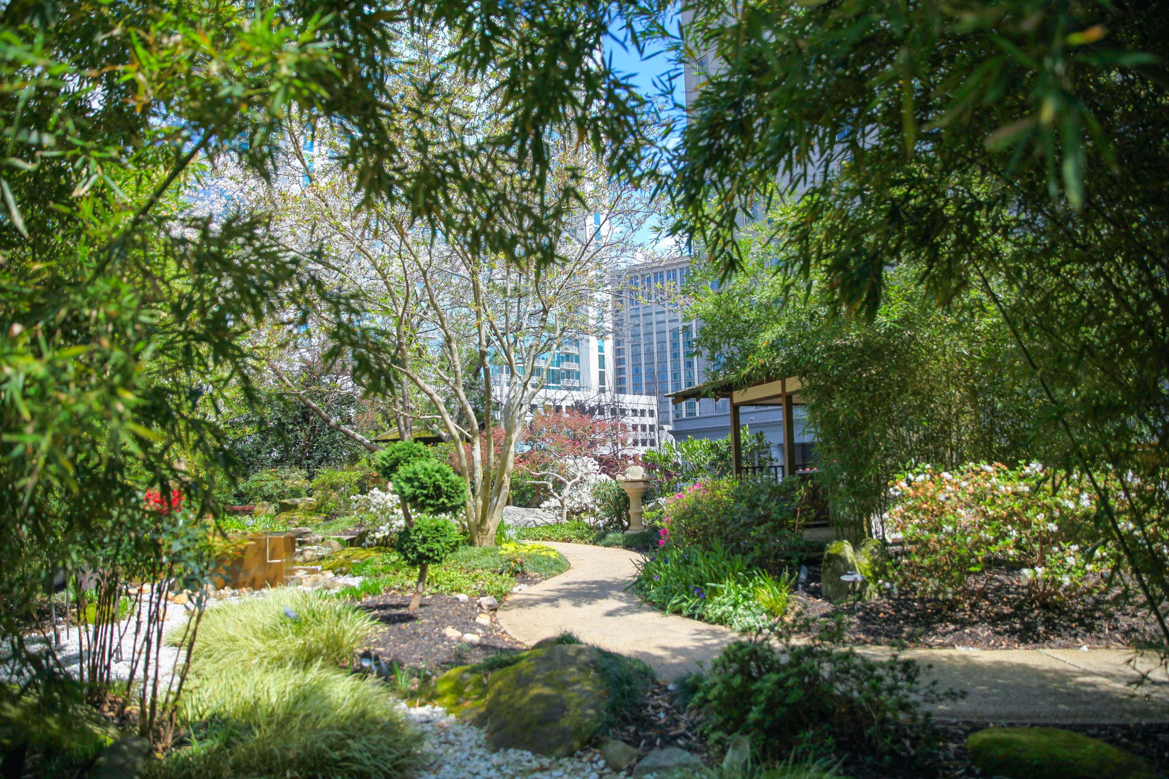 Grand Hyatt In Buckhead 4*