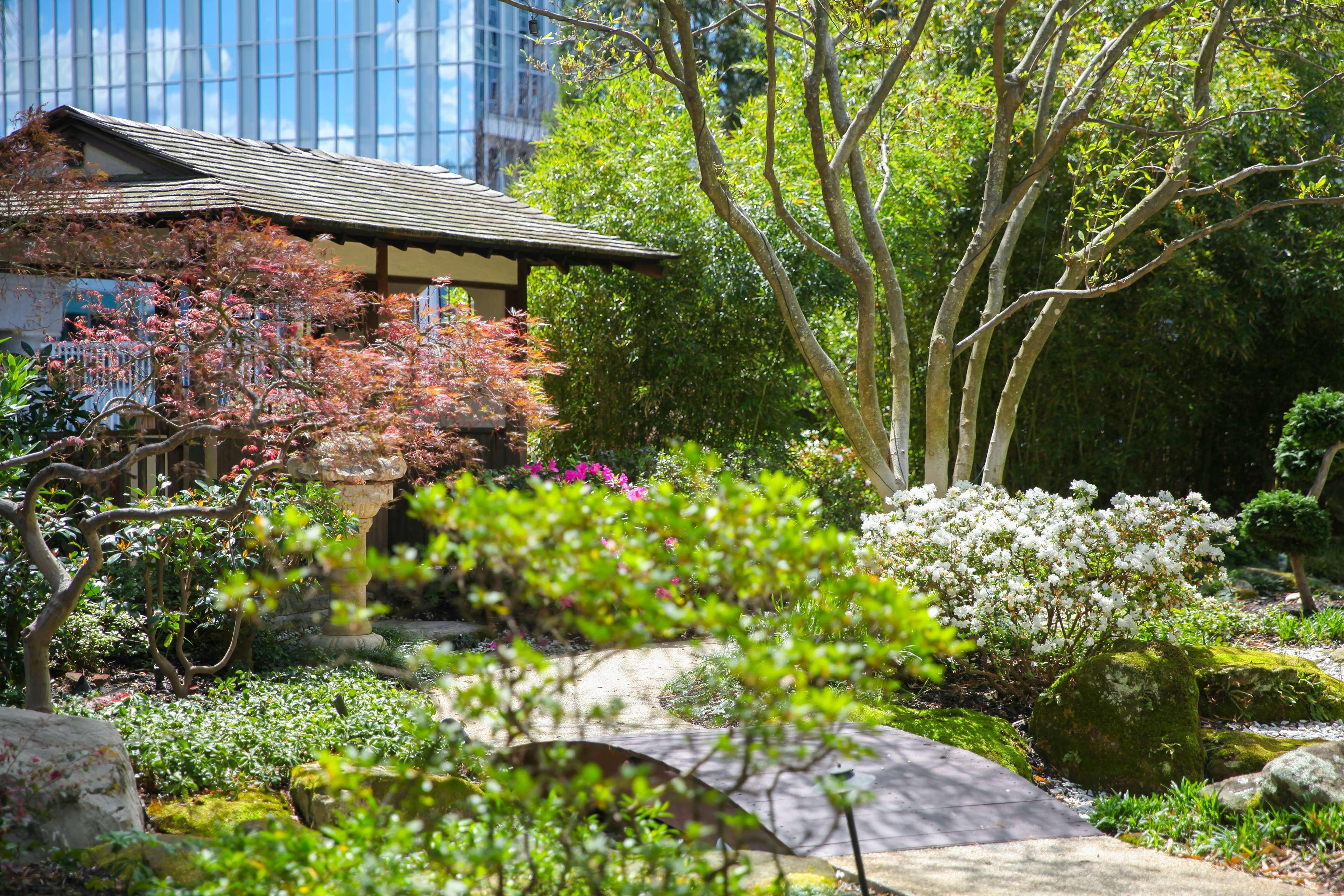 Grand Hyatt In Buckhead